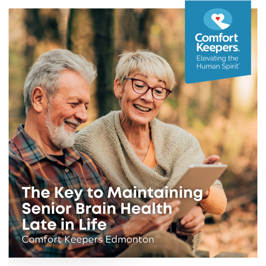 Senior male and female looking at tablet | The Key to Maintaining Senior Brain Health Late in Life - Comfort Keepers Edmonton